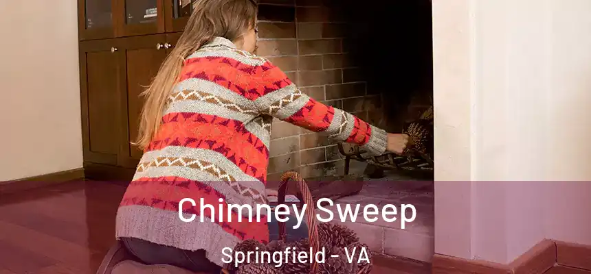 Chimney Sweep Springfield - VA