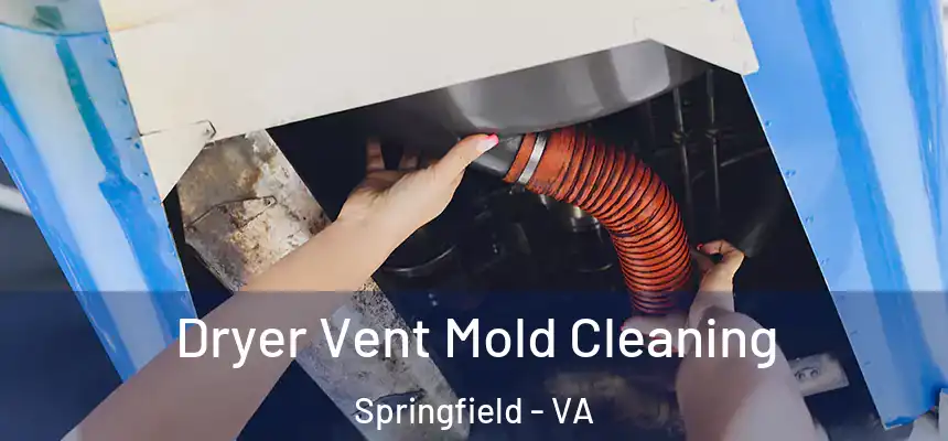  Dryer Vent Mold Cleaning Springfield - VA