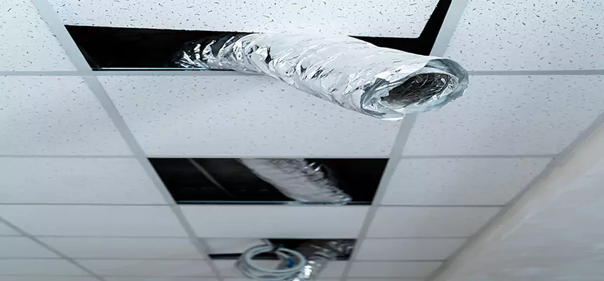 Our Air Duct Pet Hair Removal Services in Springfield, VA