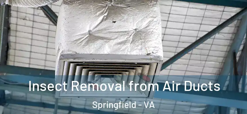  Insect Removal from Air Ducts Springfield - VA