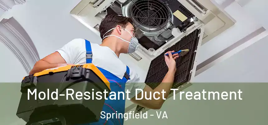  Mold-Resistant Duct Treatment Springfield - VA
