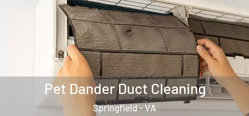 Pet Dander Duct Cleaning Springfield - VA
