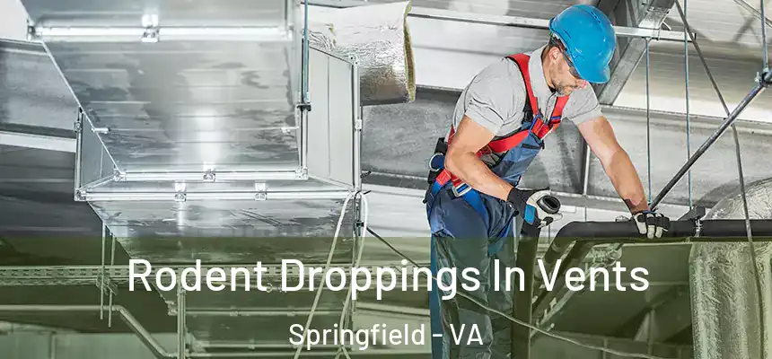  Rodent Droppings In Vents Springfield - VA