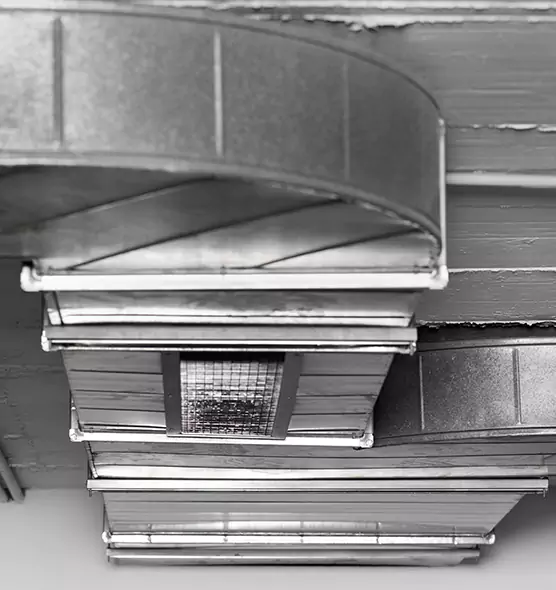 Professional Air Duct Pet Hair Removal in Springfield, VA