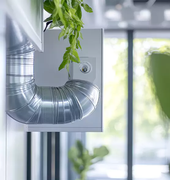 Professional Eco-Friendly Duct Cleaning Services in Springfield, VA