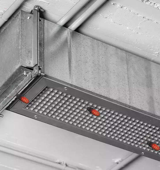 Affordable Insect Removal from Air Ducts in Springfield, VA