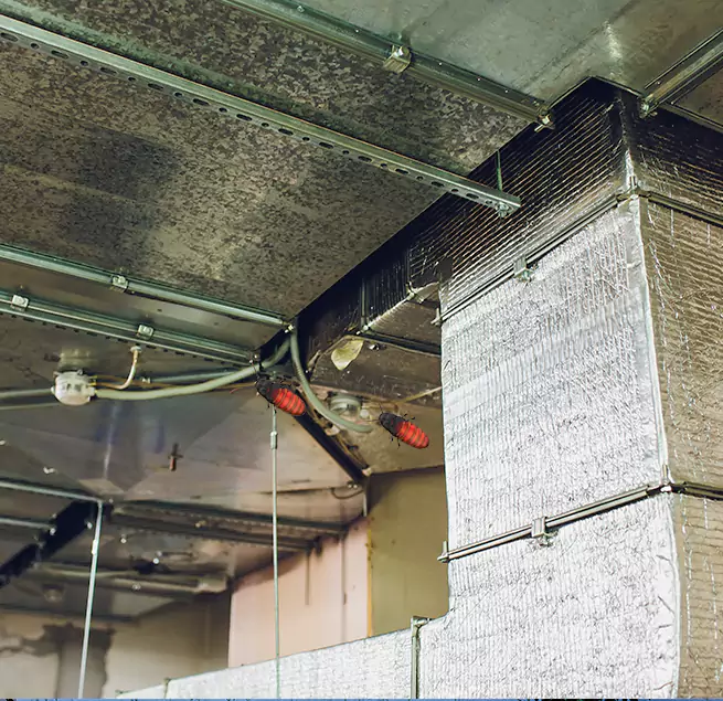 Why Homeowners & Businesses Trust Us in Springfield, VA?