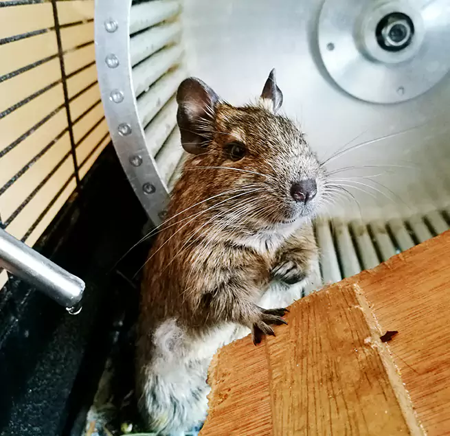 Why Homeowners & Businesses Trust Us Springfield, VA?