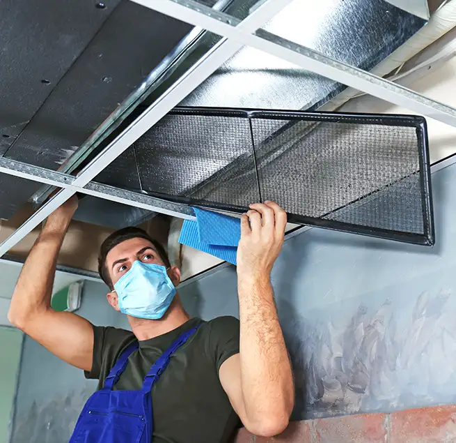 Why Homeowners & Businesses Trust Us in Springfield, VA?